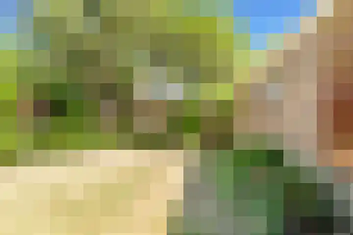 Bremlaan 18 Castricum thumbnail 37