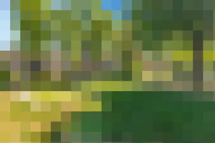 Bremlaan 18 Castricum thumbnail 42