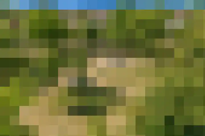 Bremlaan 18 Castricum thumbnail 43
