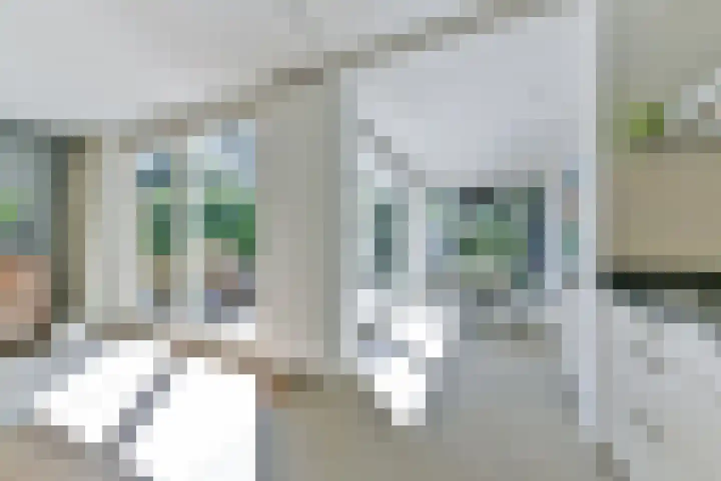 Bremlaan 19 Bosch en Duin thumbnail 11