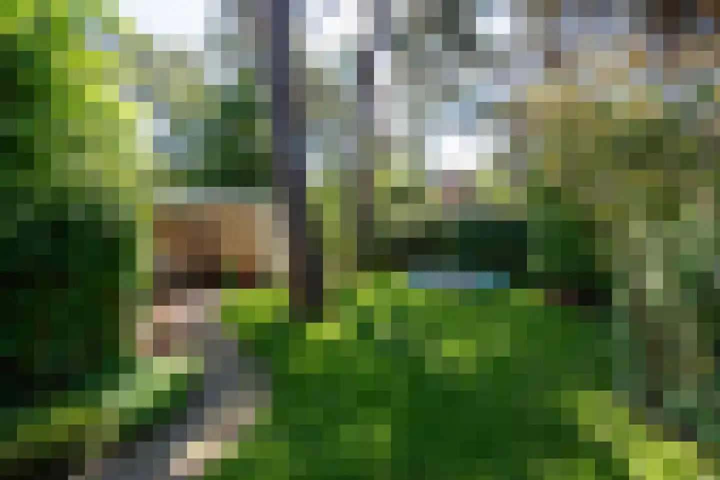 Bremlaan 19 Bosch en Duin thumbnail 26