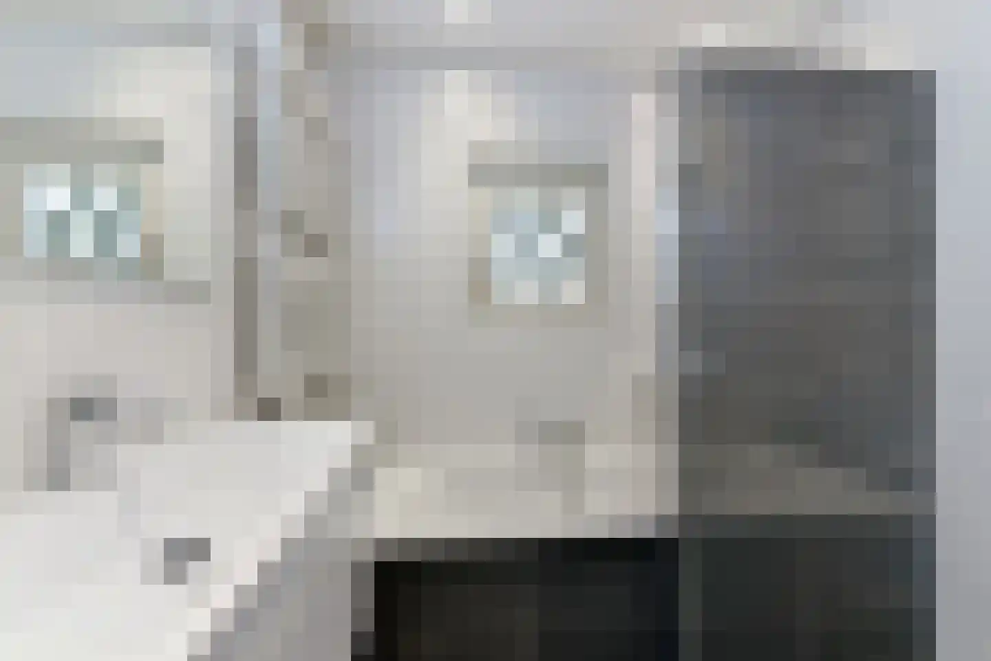Bremlaan 19 Bosch en Duin thumbnail 41
