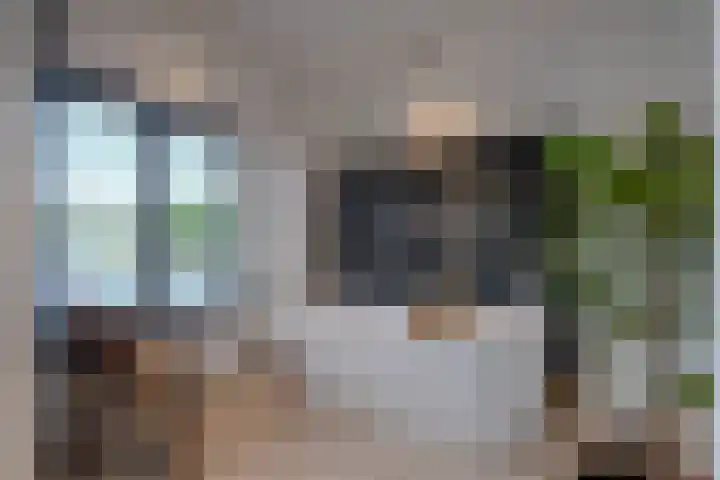 Bremlaan 19 Sint-Michielsgestel thumbnail 18