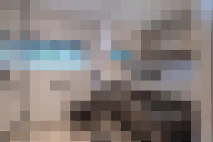 Bremlaan 19 Sint-Michielsgestel thumbnail 20