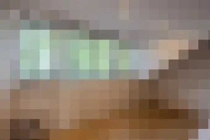 Bremlaan 19 Sint-Michielsgestel thumbnail 23