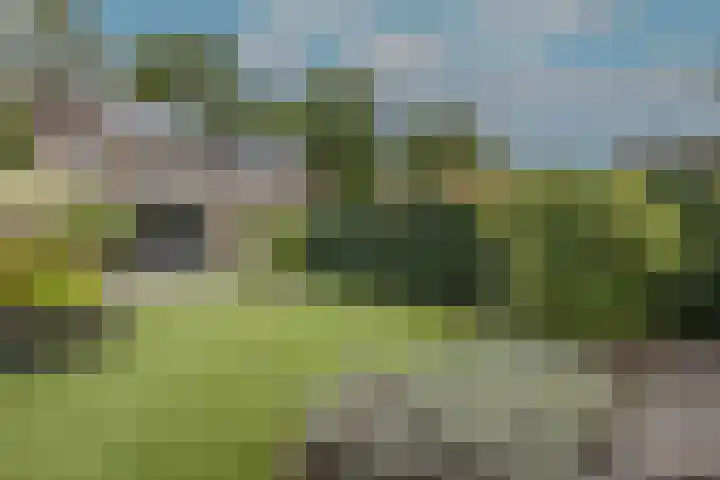 Bremlaan 19 Sint-Michielsgestel thumbnail 28