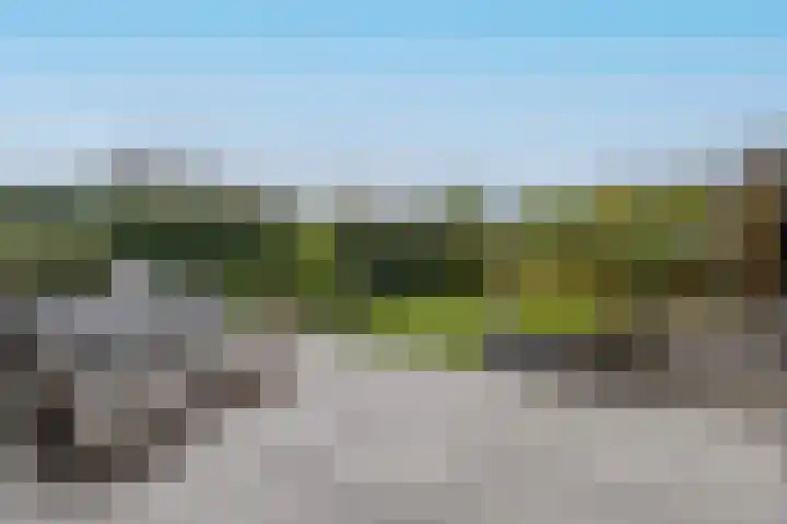 Bremlaan 19 Sint-Michielsgestel thumbnail 30