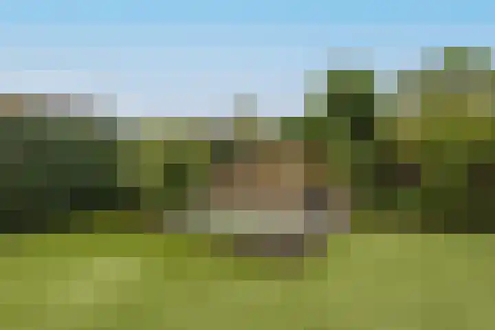 Bremlaan 19 Sint-Michielsgestel thumbnail 32