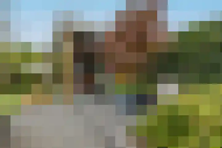 Bremlaan 19 Sint-Michielsgestel thumbnail 34