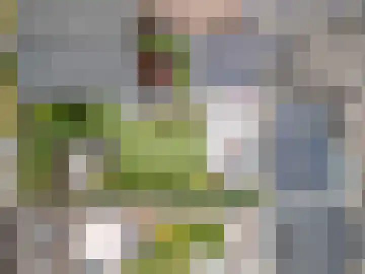 Bremlaan 19 Sint-Michielsgestel thumbnail 37