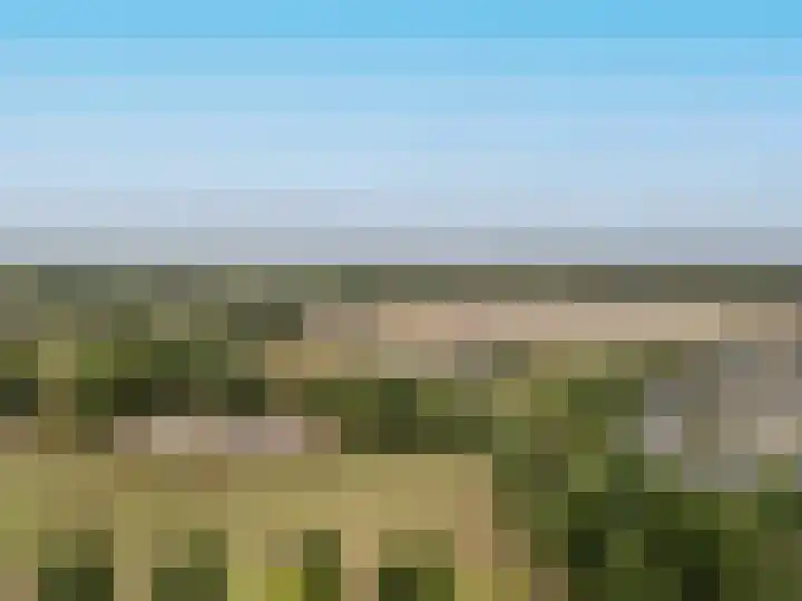 Bremlaan 19 Sint-Michielsgestel thumbnail 39