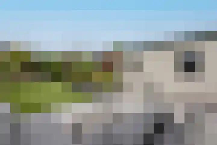 Bremlaan 19 Sint-Michielsgestel thumbnail 5