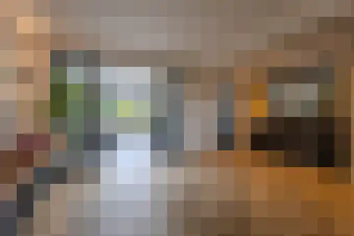 Bremlaan 19 Sint-Michielsgestel thumbnail 9