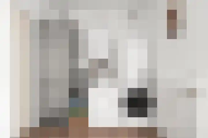 Bremlaan 2 Ede thumbnail 15