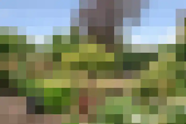 Bremlaan 2 Ede thumbnail 31