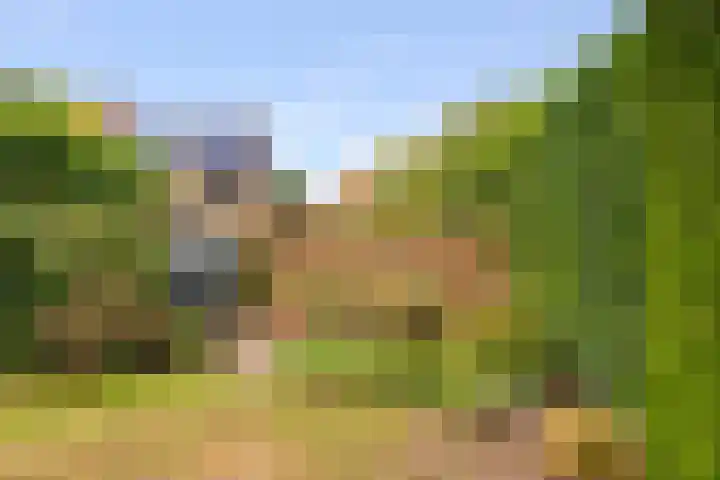 Bremlaan 2 Ede thumbnail 33