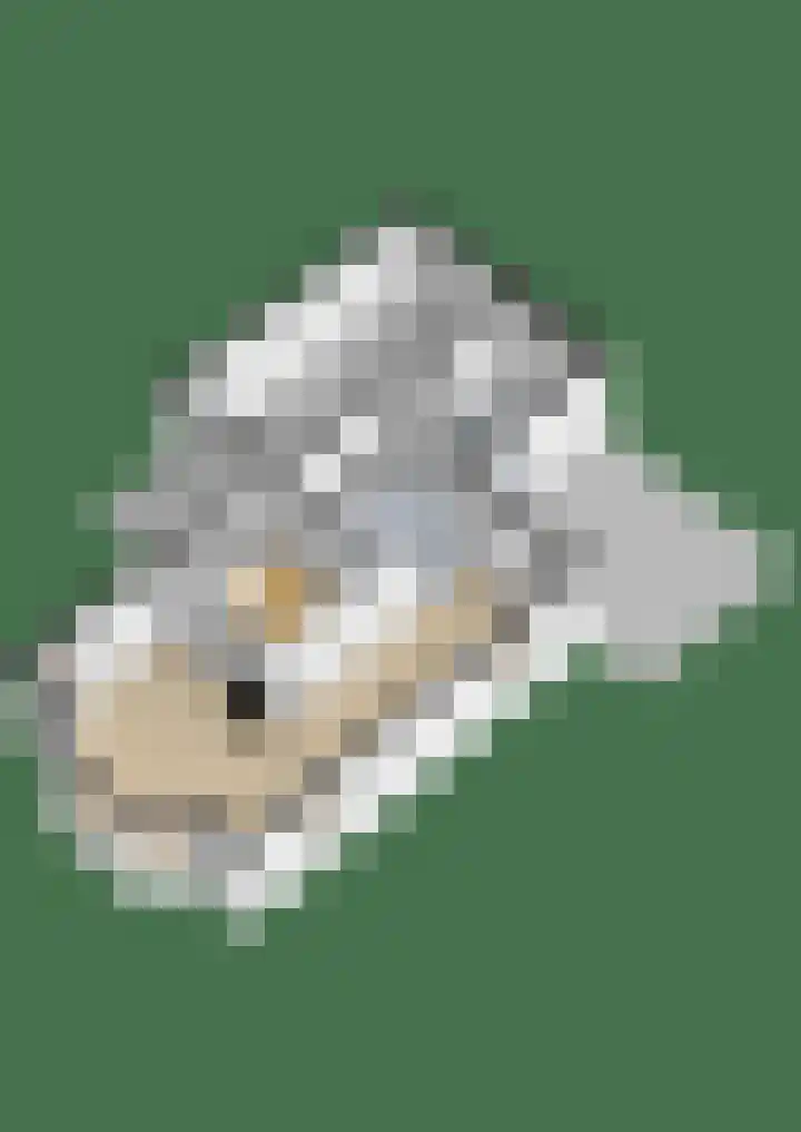Bremlaan 2 Ede thumbnail 40