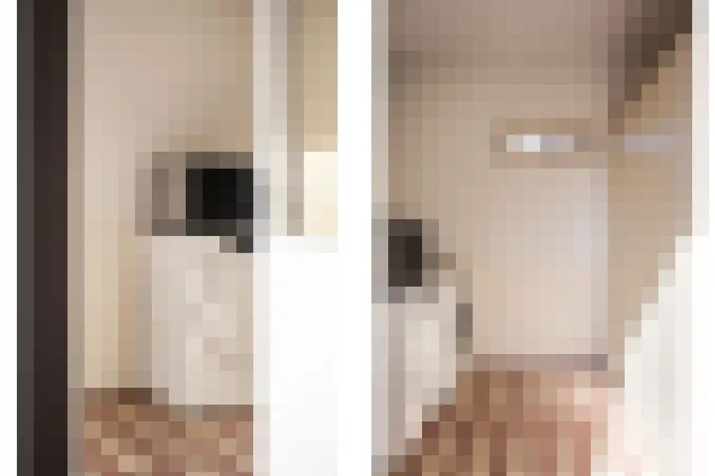 Bremlaan 2 Haarlem thumbnail 17