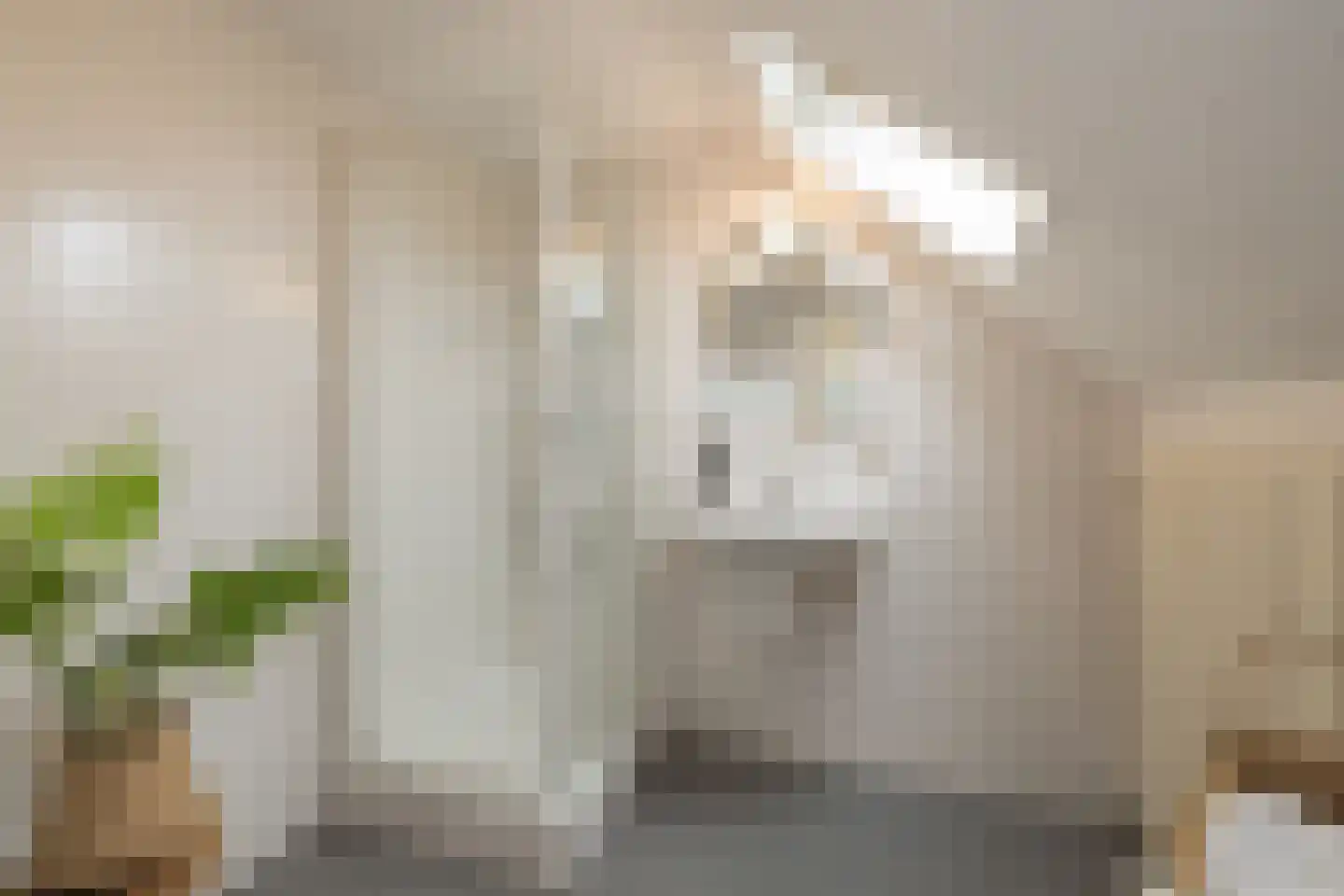 Bremlaan 2 Haarlem thumbnail 61
