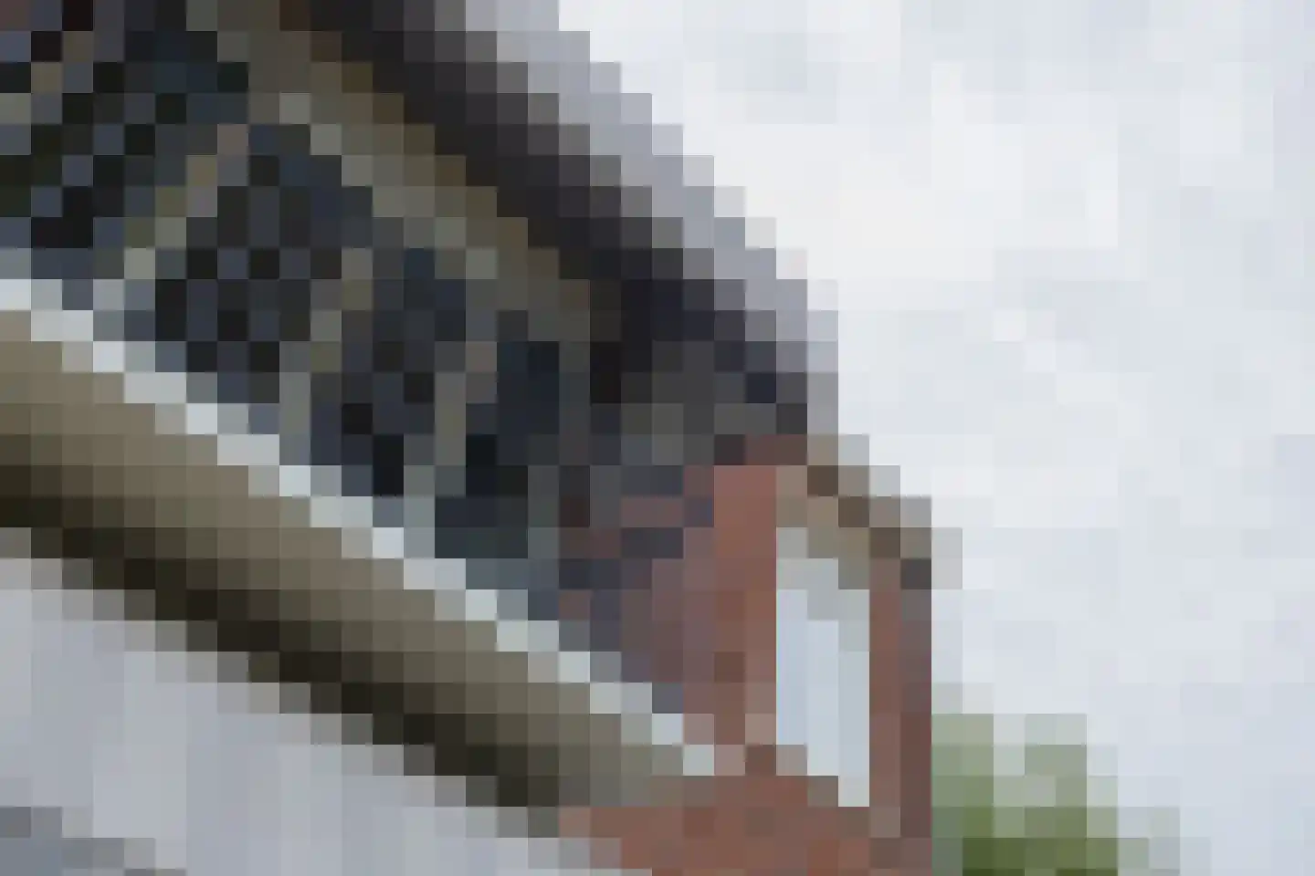 Bremlaan 2 Haarlem thumbnail 67