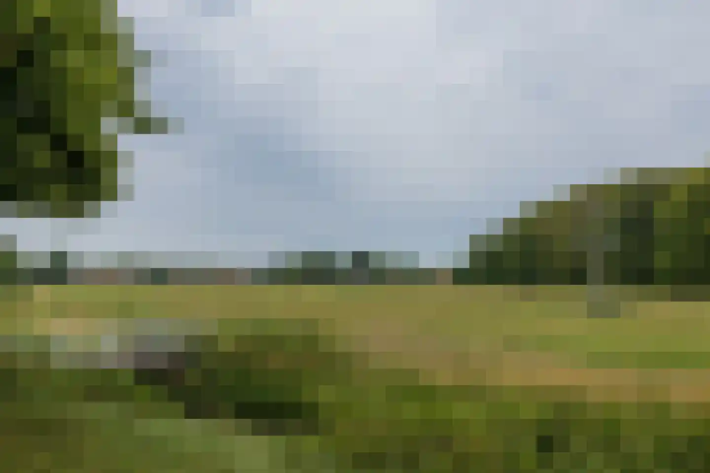 Bremlaan 2 Haarlem thumbnail 71