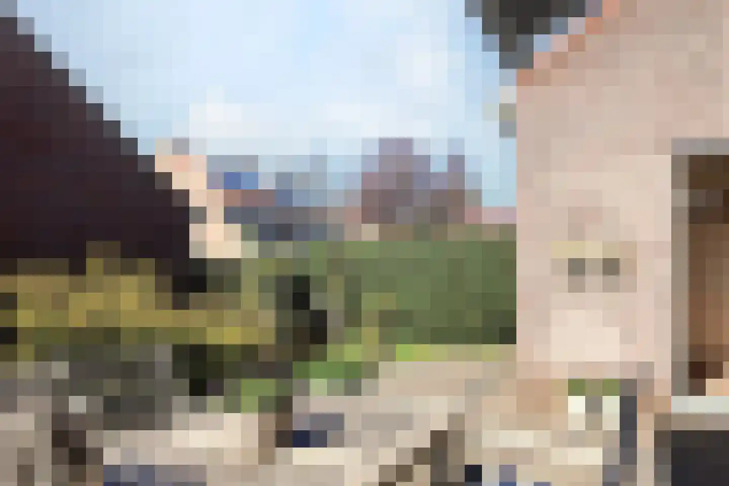 Bremlaan 2 Haarlem thumbnail 9