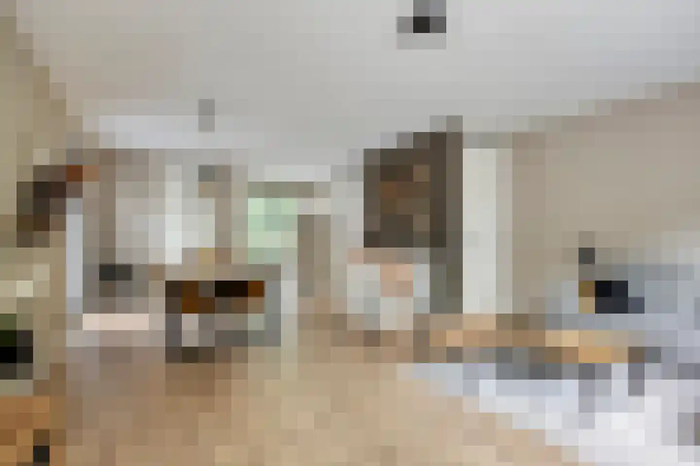 Bremlaan 2 Son en Breugel thumbnail 14