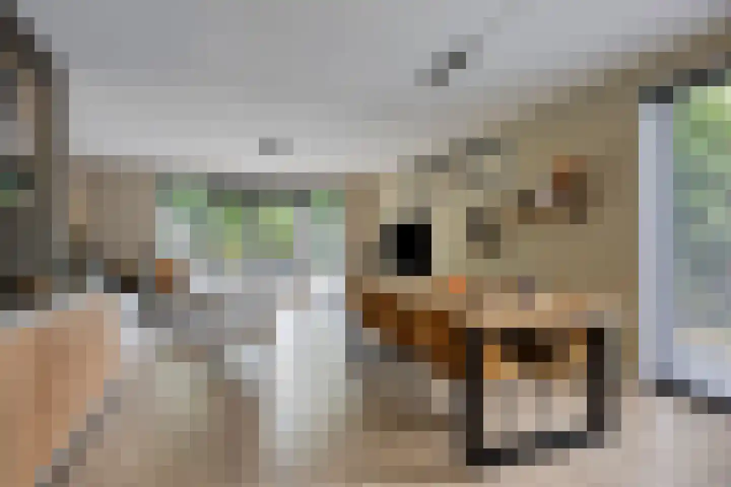 Bremlaan 2 Son en Breugel thumbnail 16