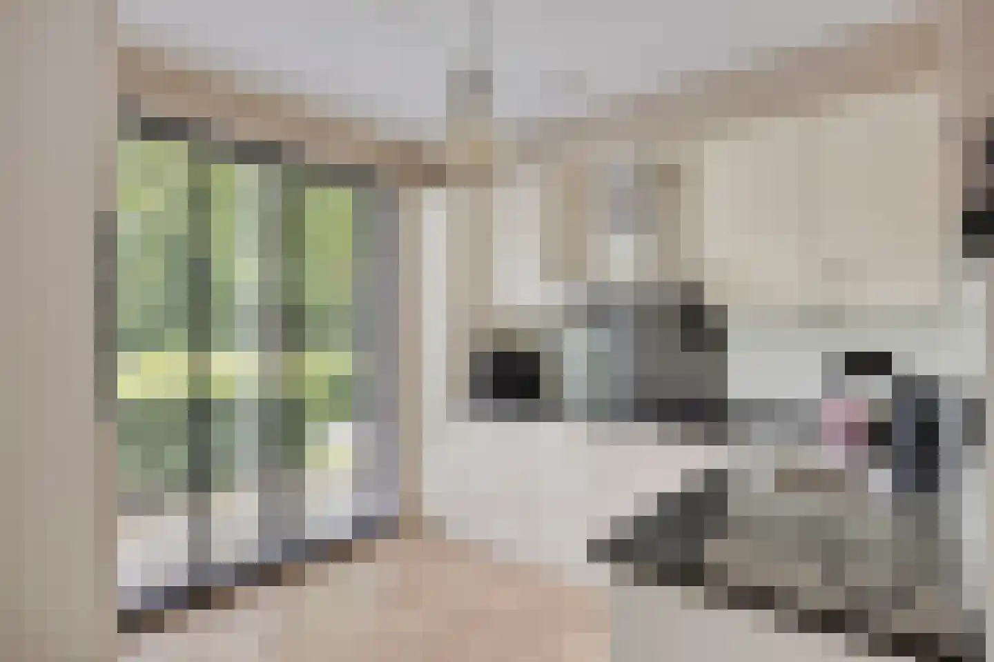 Bremlaan 2 Son en Breugel thumbnail 18