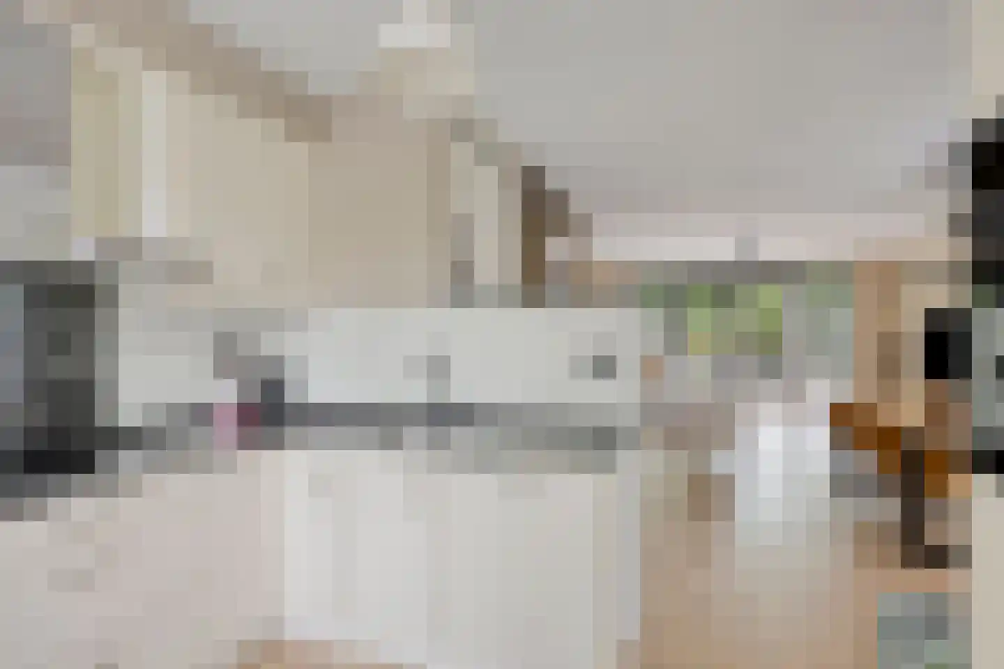 Bremlaan 2 Son en Breugel thumbnail 19