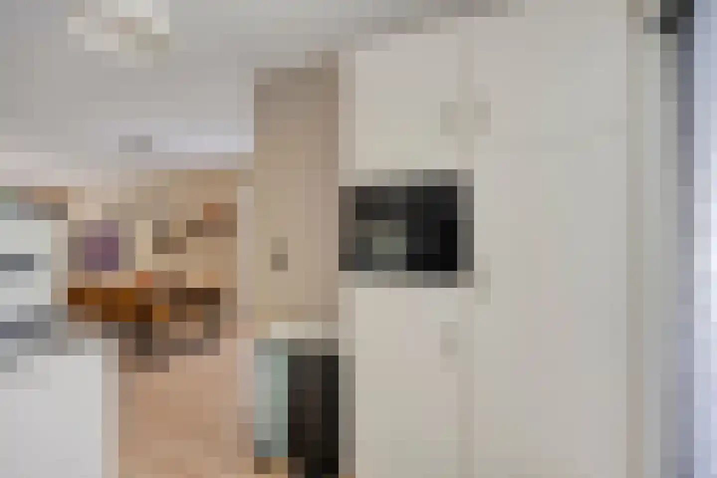 Bremlaan 2 Son en Breugel thumbnail 20