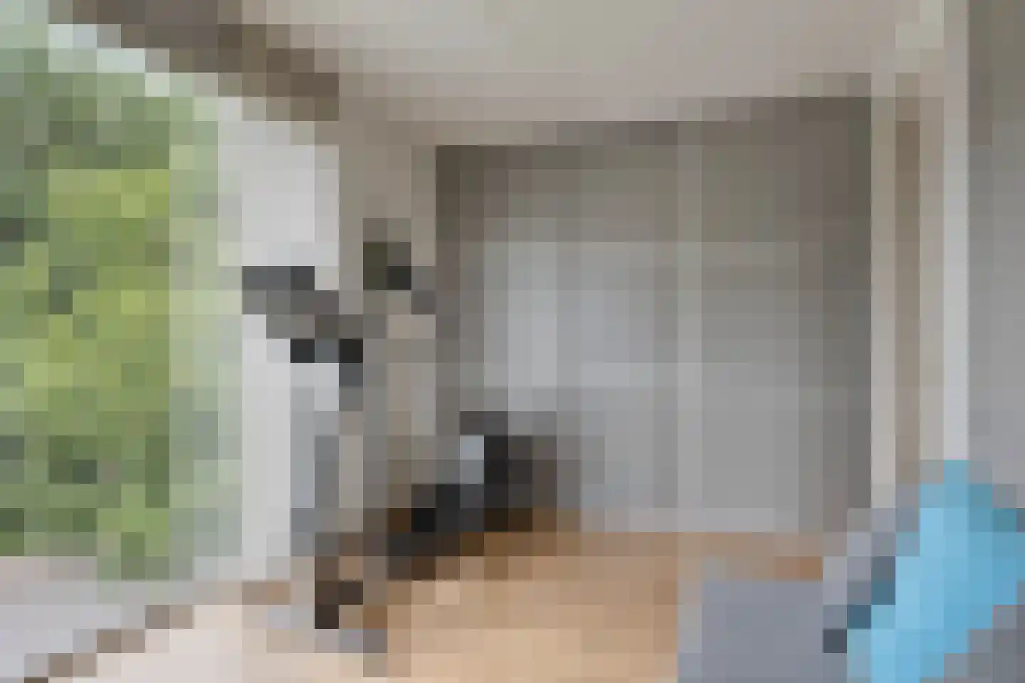Bremlaan 2 Son en Breugel thumbnail 30