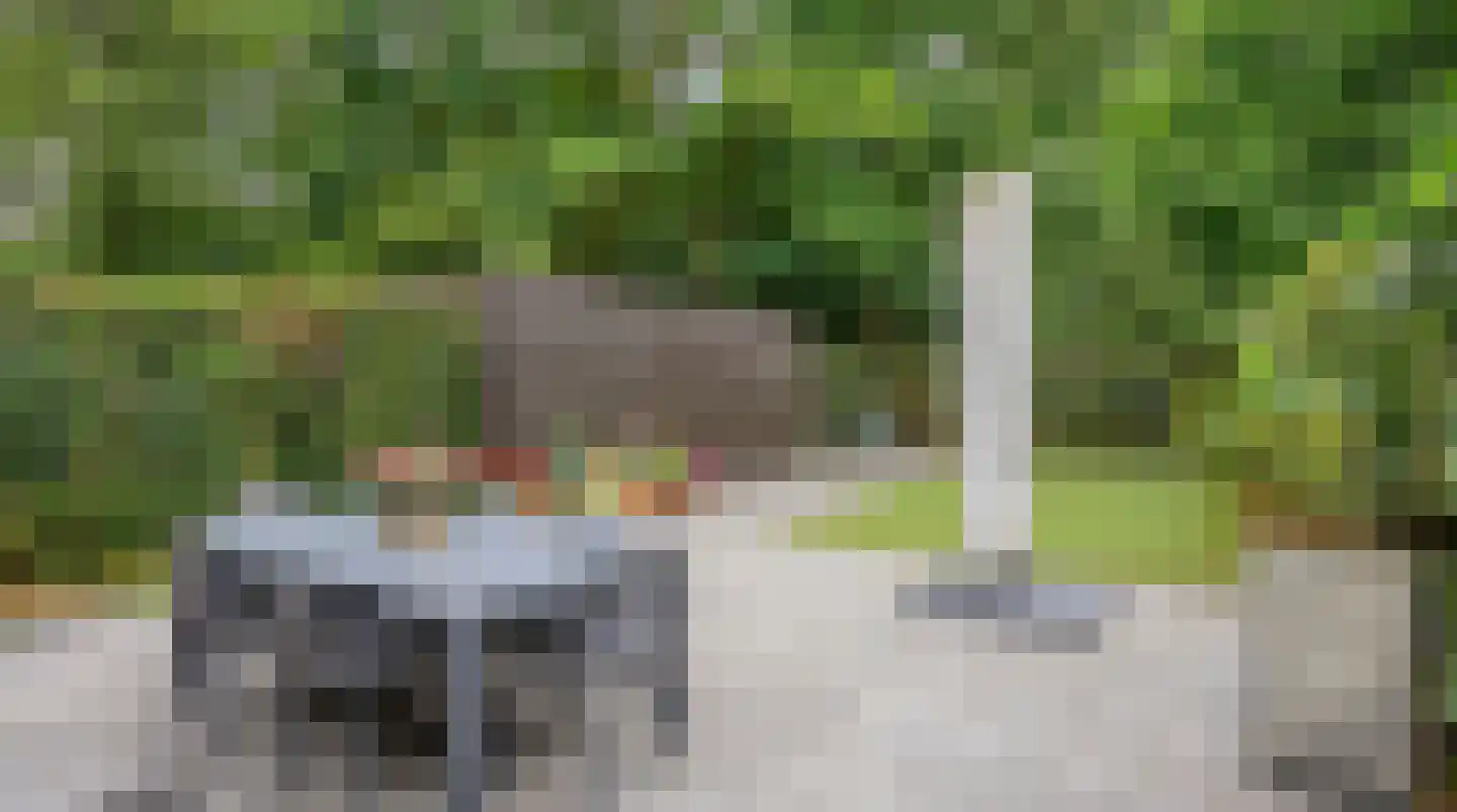 Bremlaan 2 Son en Breugel thumbnail 33
