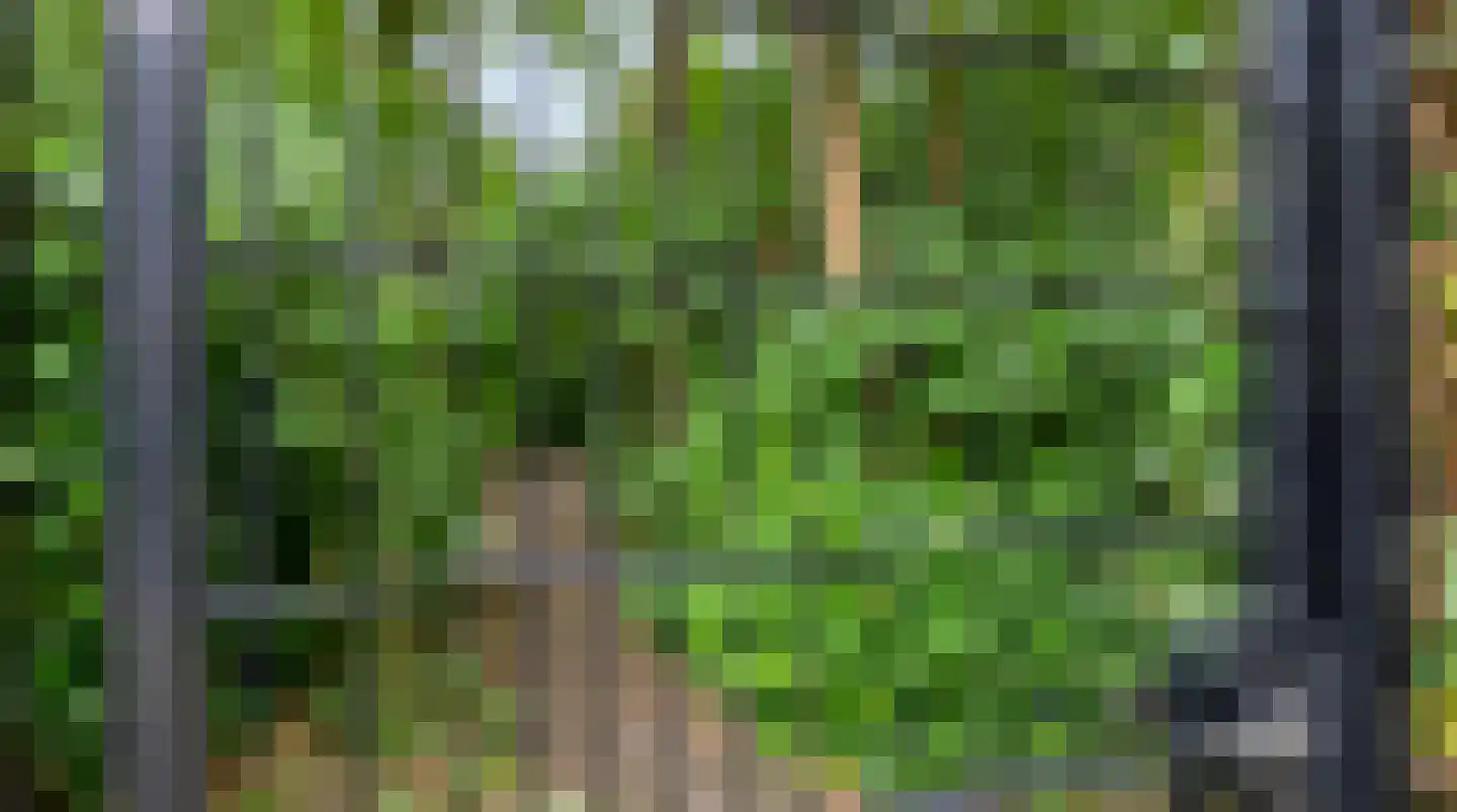 Bremlaan 2 Son en Breugel thumbnail 36