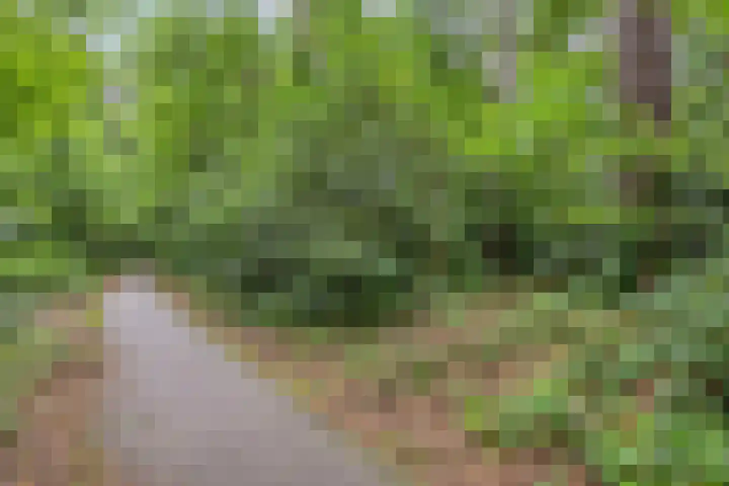 Bremlaan 2 Son en Breugel thumbnail 39