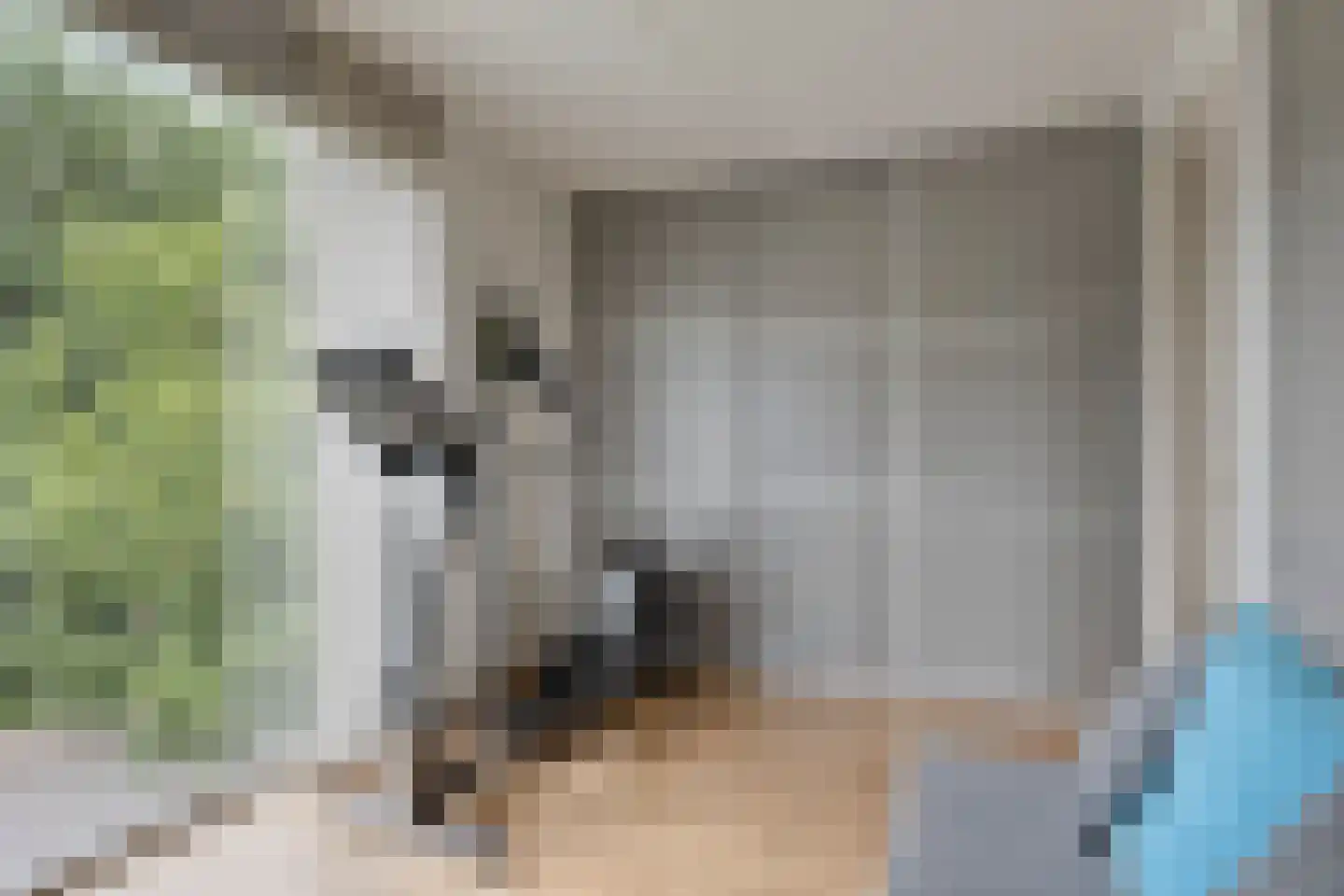 Bremlaan 2 Son en Breugel thumbnail 6