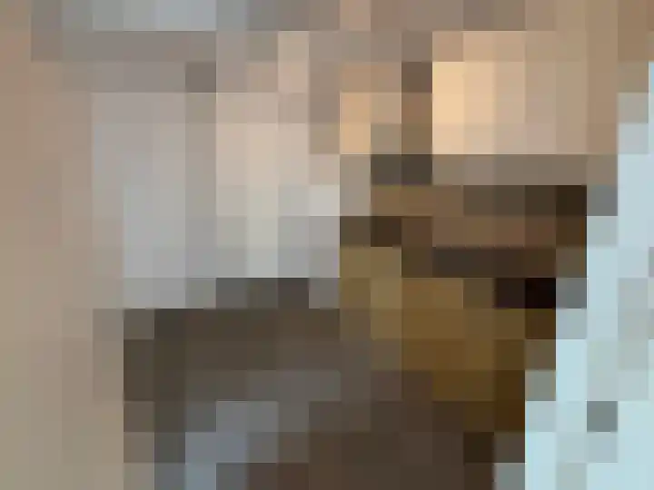 Bremlaan 23 Vroomshoop thumbnail 10