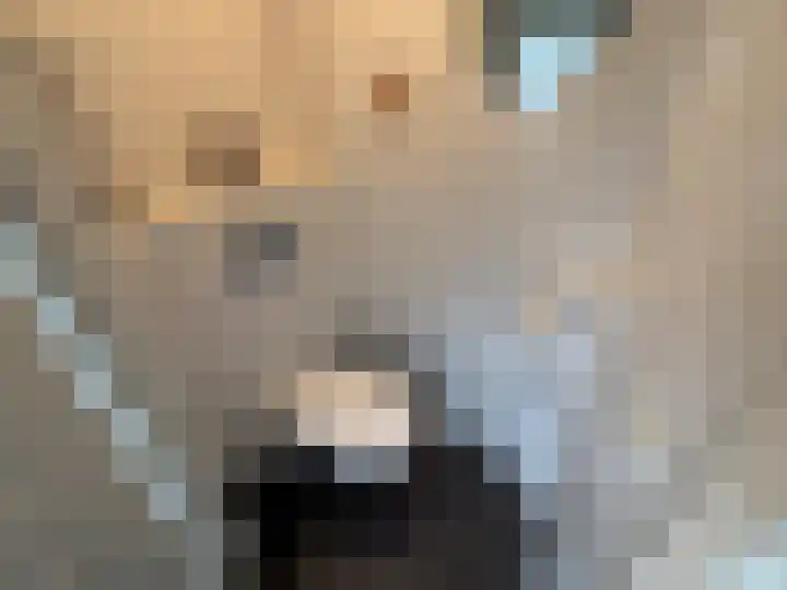 Bremlaan 23 Vroomshoop thumbnail 11