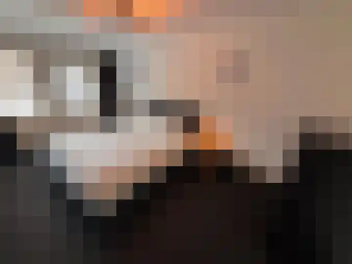 Bremlaan 23 Vroomshoop thumbnail 17
