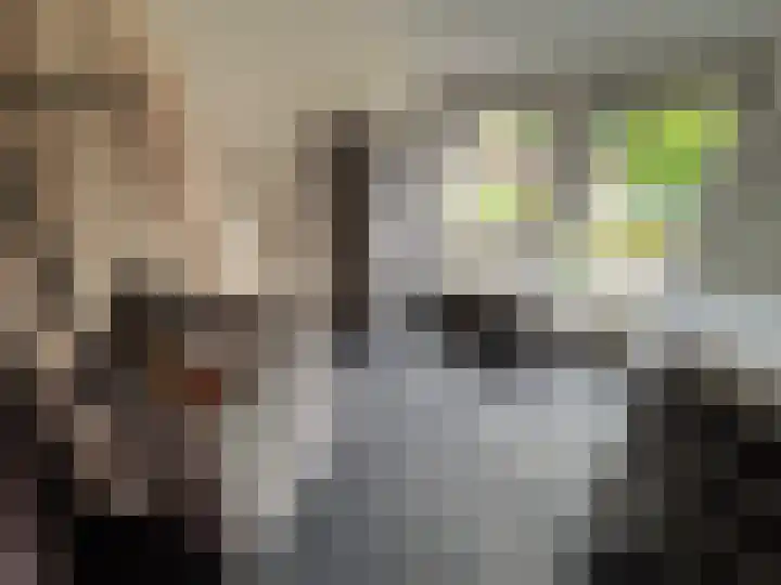 Bremlaan 23 Vroomshoop thumbnail 18