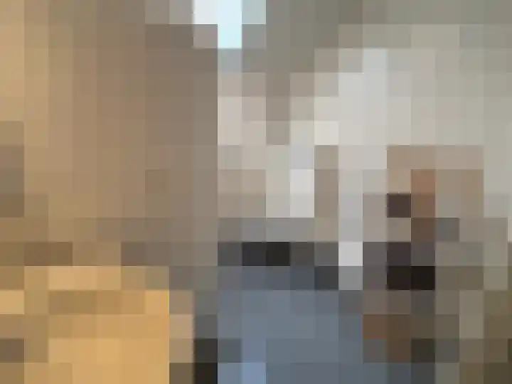 Bremlaan 23 Vroomshoop thumbnail 20