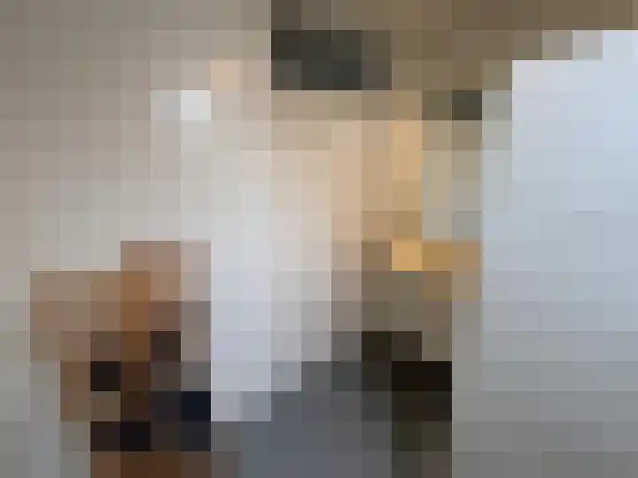 Bremlaan 23 Vroomshoop thumbnail 21