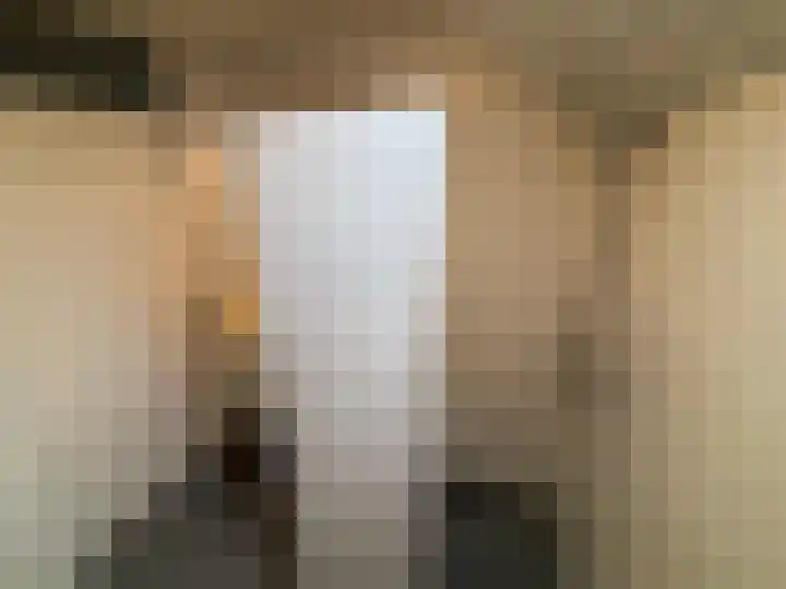 Bremlaan 23 Vroomshoop thumbnail 22