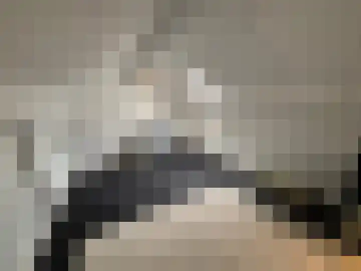 Bremlaan 23 Vroomshoop thumbnail 24