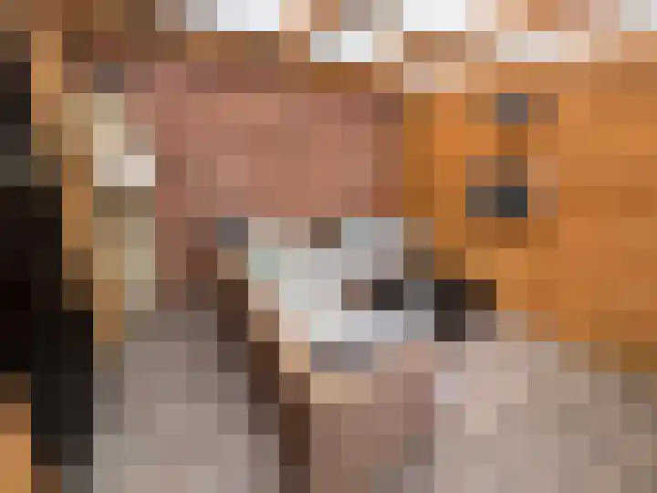 Bremlaan 23 Vroomshoop thumbnail 26