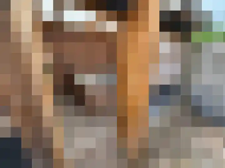 Bremlaan 23 Vroomshoop thumbnail 27