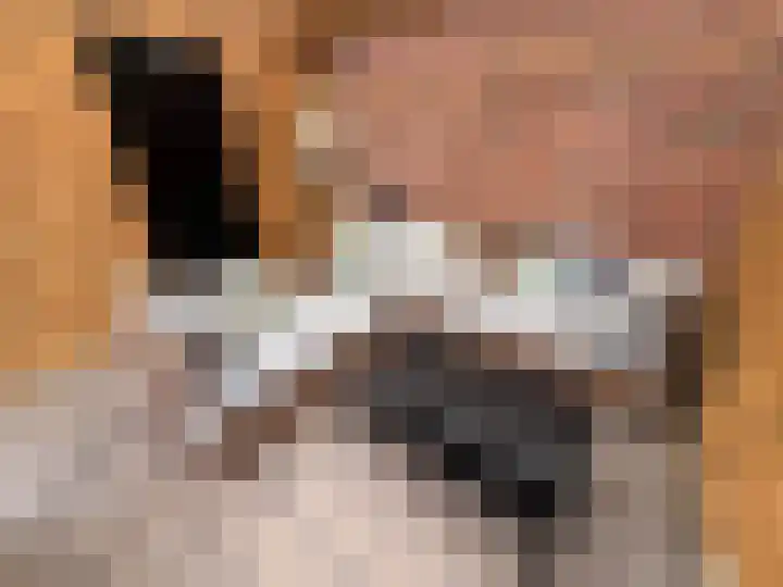 Bremlaan 23 Vroomshoop thumbnail 28