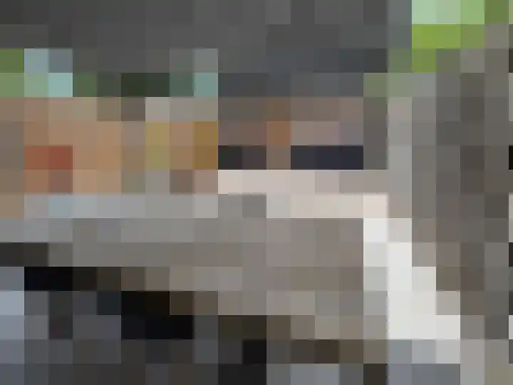 Bremlaan 23 Vroomshoop thumbnail 29