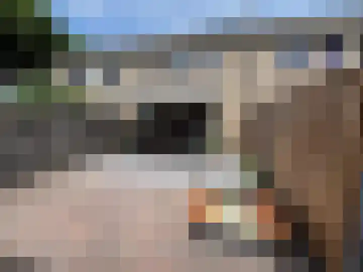 Bremlaan 23 Vroomshoop thumbnail 30