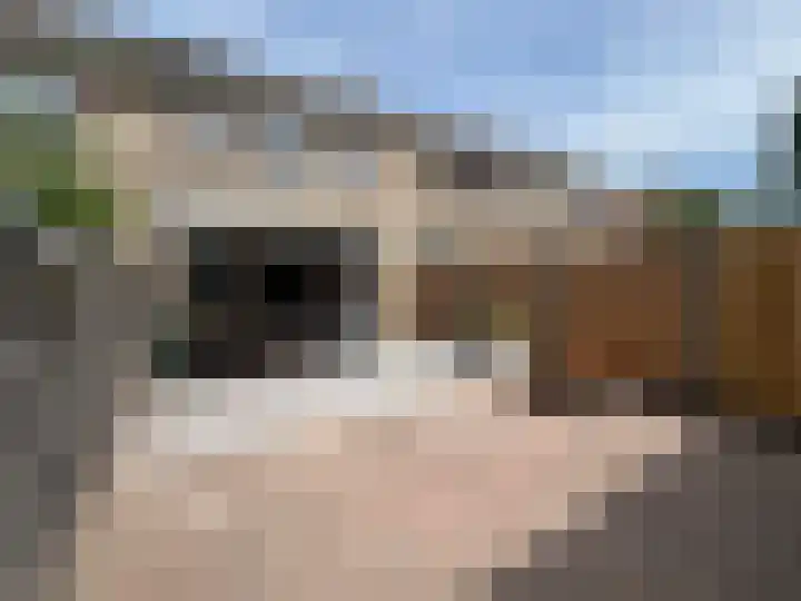 Bremlaan 23 Vroomshoop thumbnail 31